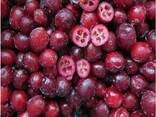 Bayas y frutas congeladas; mezclas de bayas y frutas, así como mezclas para compota. - foto 6