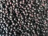 Bayas y frutas congeladas; mezclas de bayas y frutas, así como mezclas para compota. - foto 7