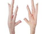 Cheap Frozen Chicken Feet - фото 2