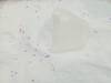 Detergent powder - foto 2
