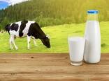 Drink milk powder 26% fat content - фото 15