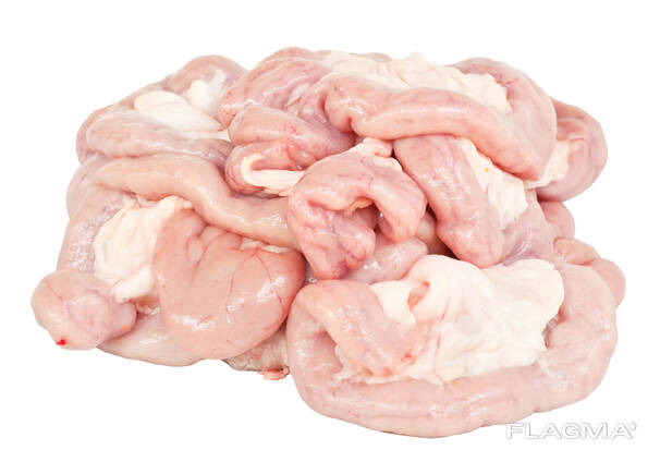 Frozen Pork Small Intestine | Pork Belly And Other Part For Sale