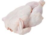 Frozen Whole Chicken - фото 3