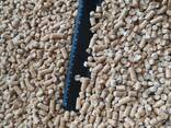 Гранулы древесные топливные пеллеты светлые 6 мм сосна экспорт FCA-Шклов, Беларусь - photo 4