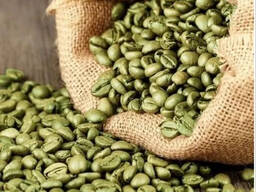 Green Robusta and Arabica Coffee Beans From South Africa-Roasted Grade 1 60kg Bags 24 Mont