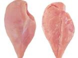 Halal Frozen Chicken Breast - фото 3
