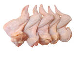 Halal Frozen Chicken Wings - фото 2