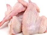 Halal Frozen Chicken Wings - фото 3