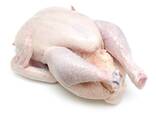 High Quality Halal Frozen Whole Chicken - фото 3
