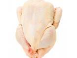 High Quality Frozen Whole Chicken - фото 1