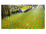 High Quality Refined Sun Flower Oil 100% Ukraine Refined Sunflower Oil Available - foto 2