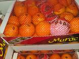 Naranjas España, Marruecos y otros. - foto 1