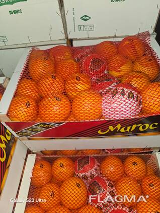 Naranjas España, Marruecos y otros.