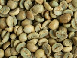 Premium Arabica Coffee Bean 100% Robusta Bulk Sales 20kg Mellow Taste Roasted coffee beans