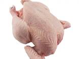 High Quality Frozen Whole Chicken - фото 2