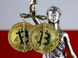 Registro/venta de empresas polacas con licencias criptográficas y Fintech (VASP, SPI, EMI) - foto 1