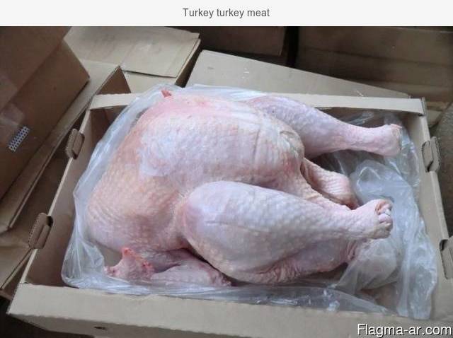 Turkey turkey meat