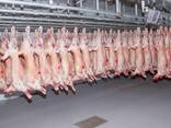 Wholesale beef and lamb from the manufacturer - foto 1