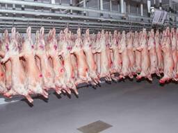 Wholesale beef and lamb from the manufacturer