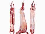 Wholesale beef and lamb from the manufacturer - фото 1