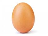 Яйцо Куриное - фото 1